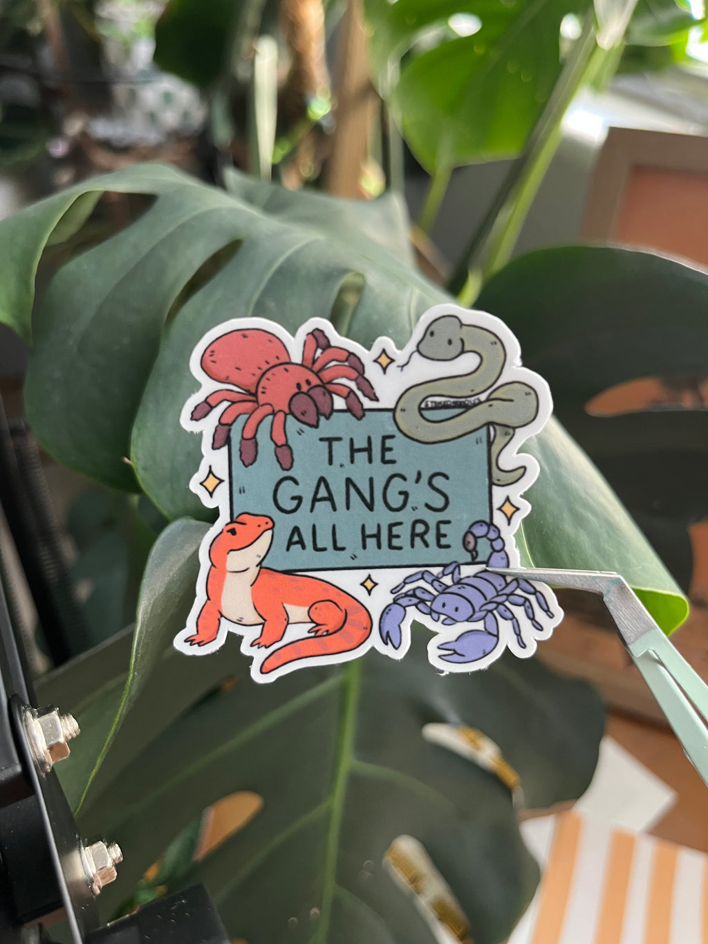 The gangs all here vinyl stickers (desert edition)