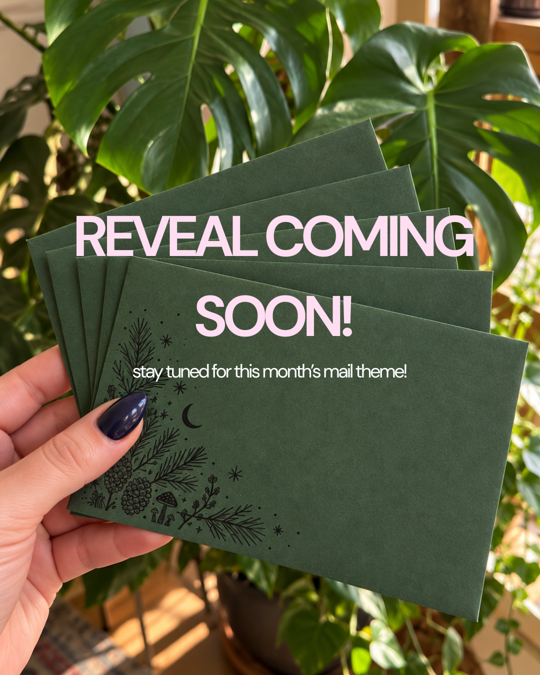 Nature Notes Mail Club