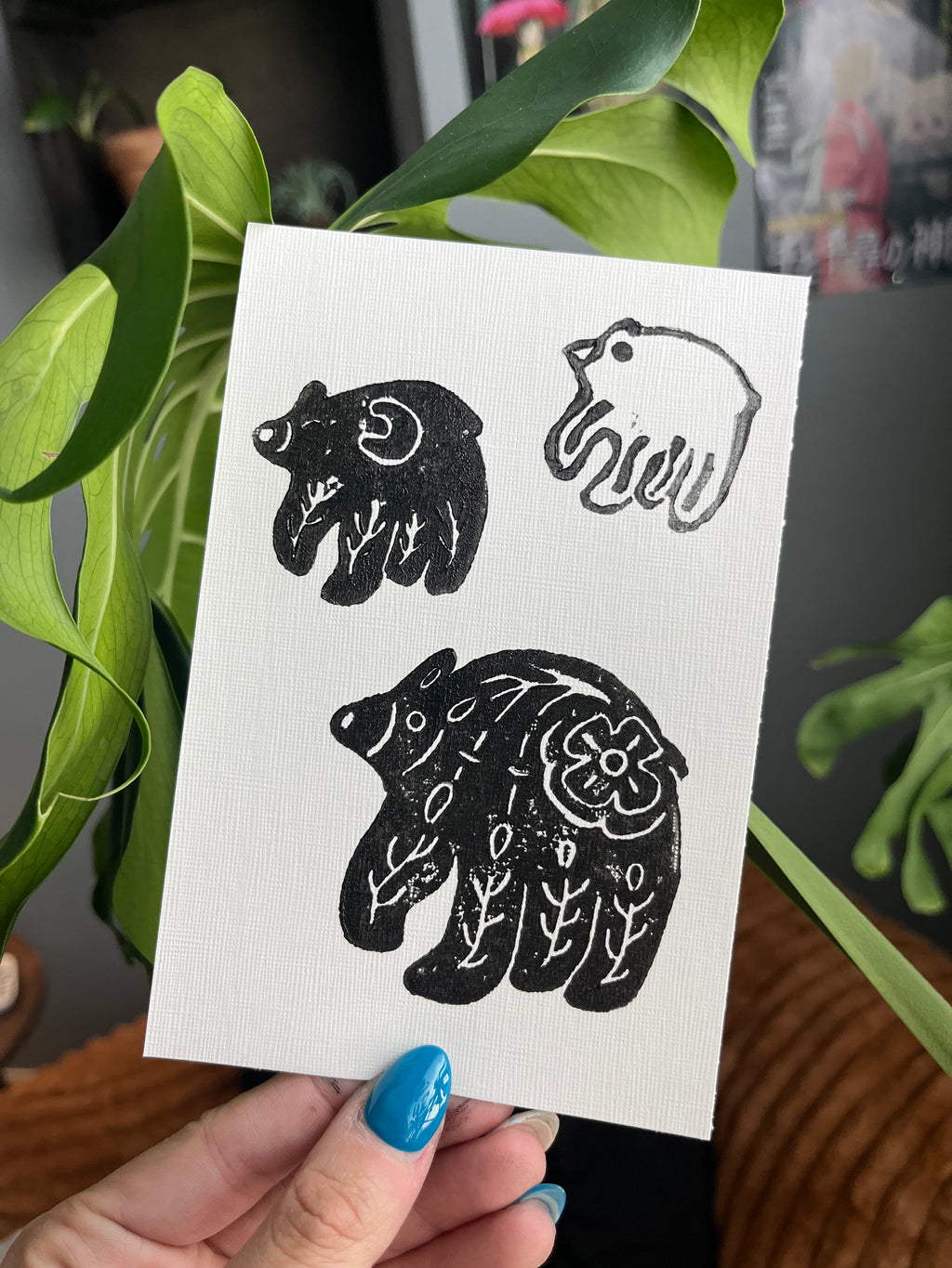 the folk bear that started it all