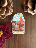 Petrified Forest National Park