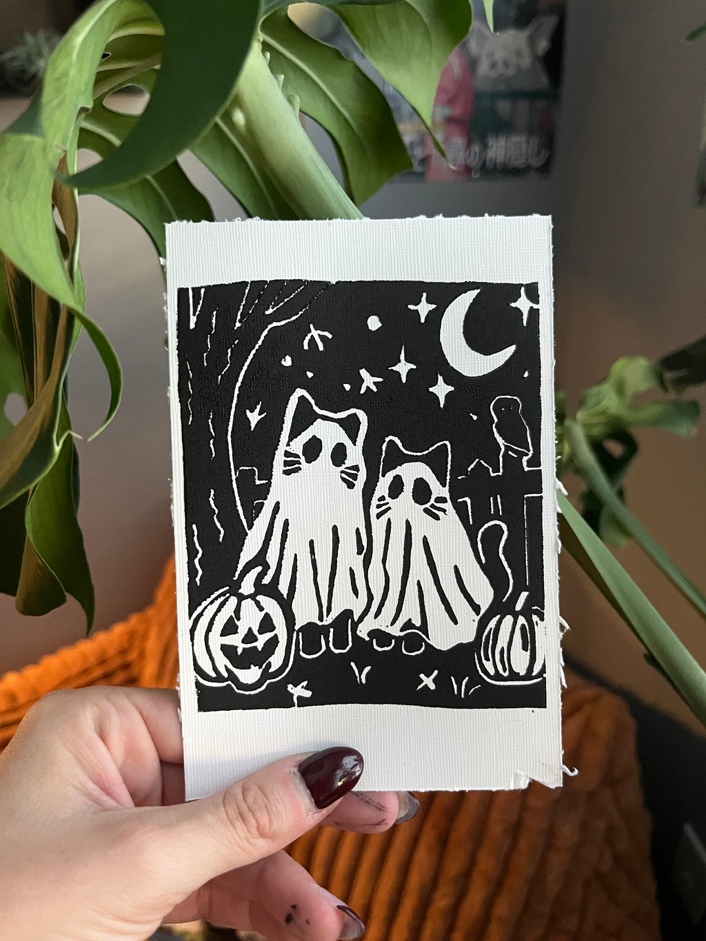 ghost kitties