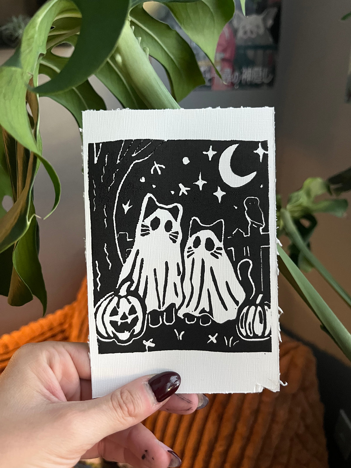 ghost kitties