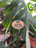 We’re Chillin vinyl sticker