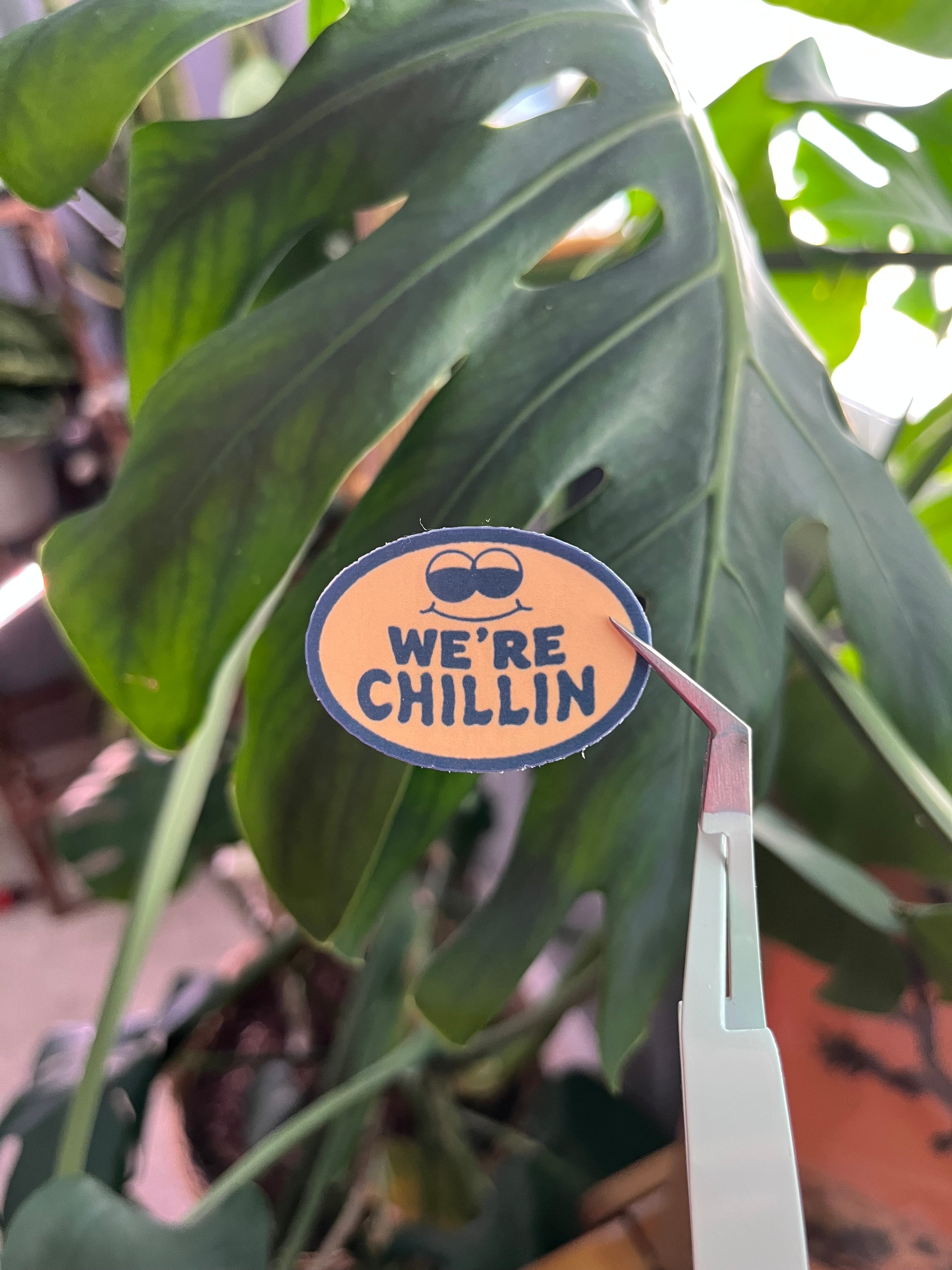 We’re Chillin vinyl sticker