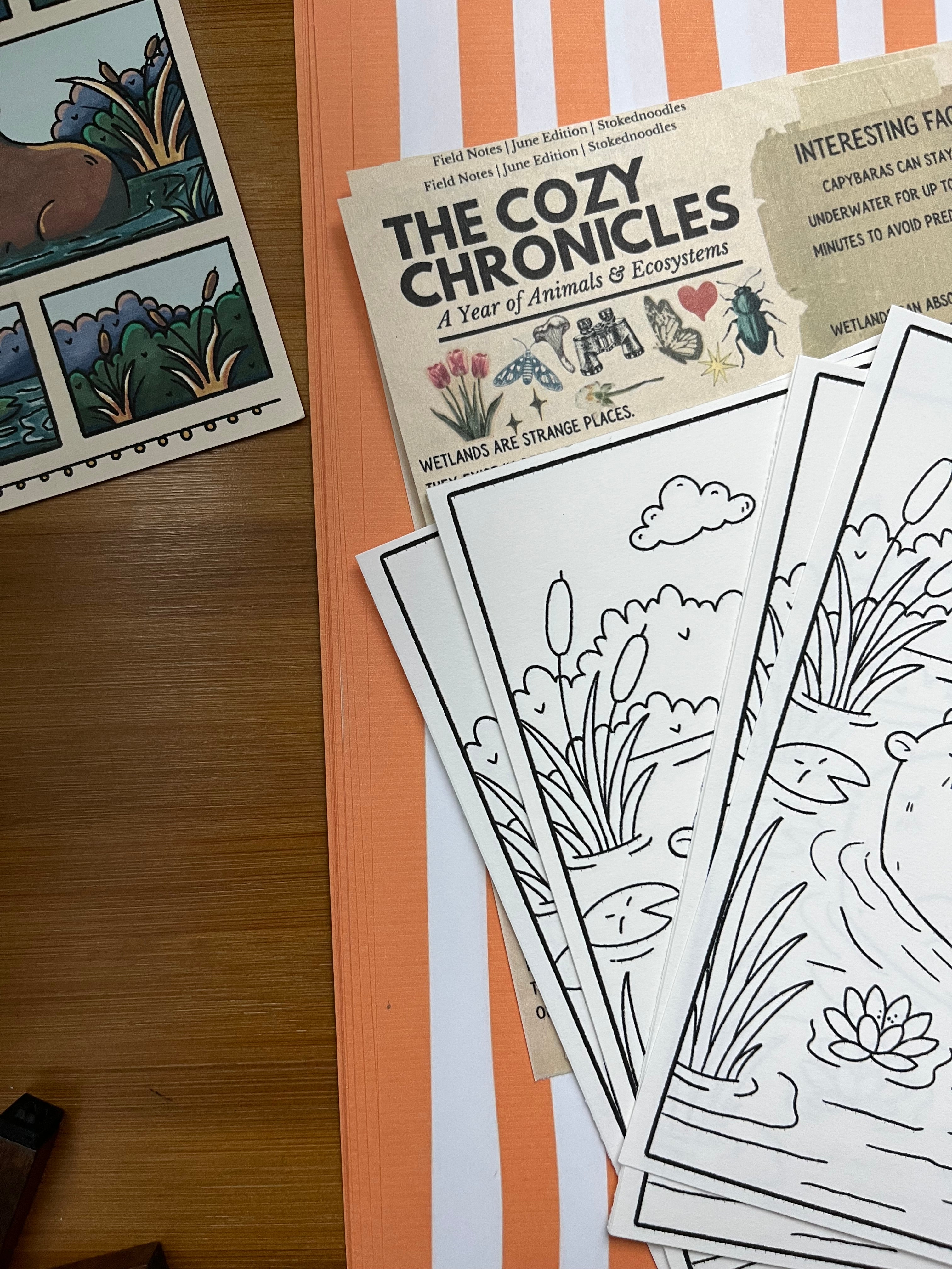 June mail club ‘catch up edition’