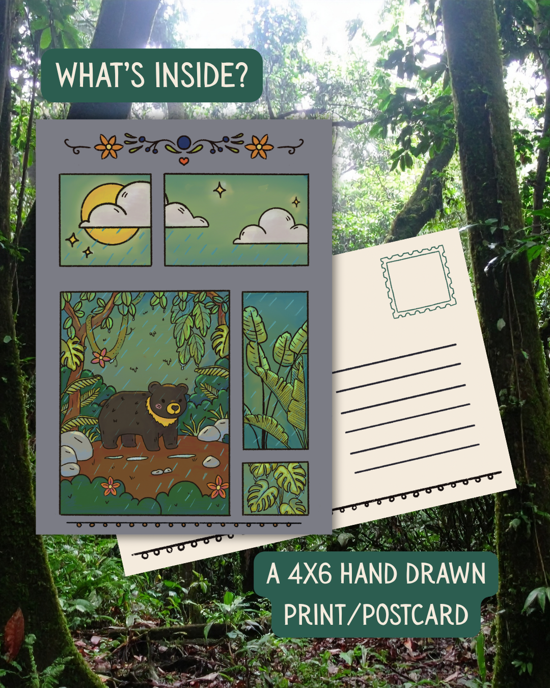 Cozy Chronicles Mail Club