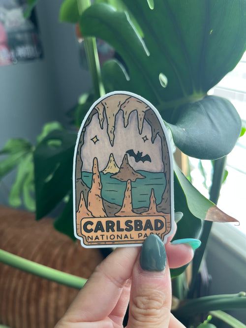 Carlsbad National Park