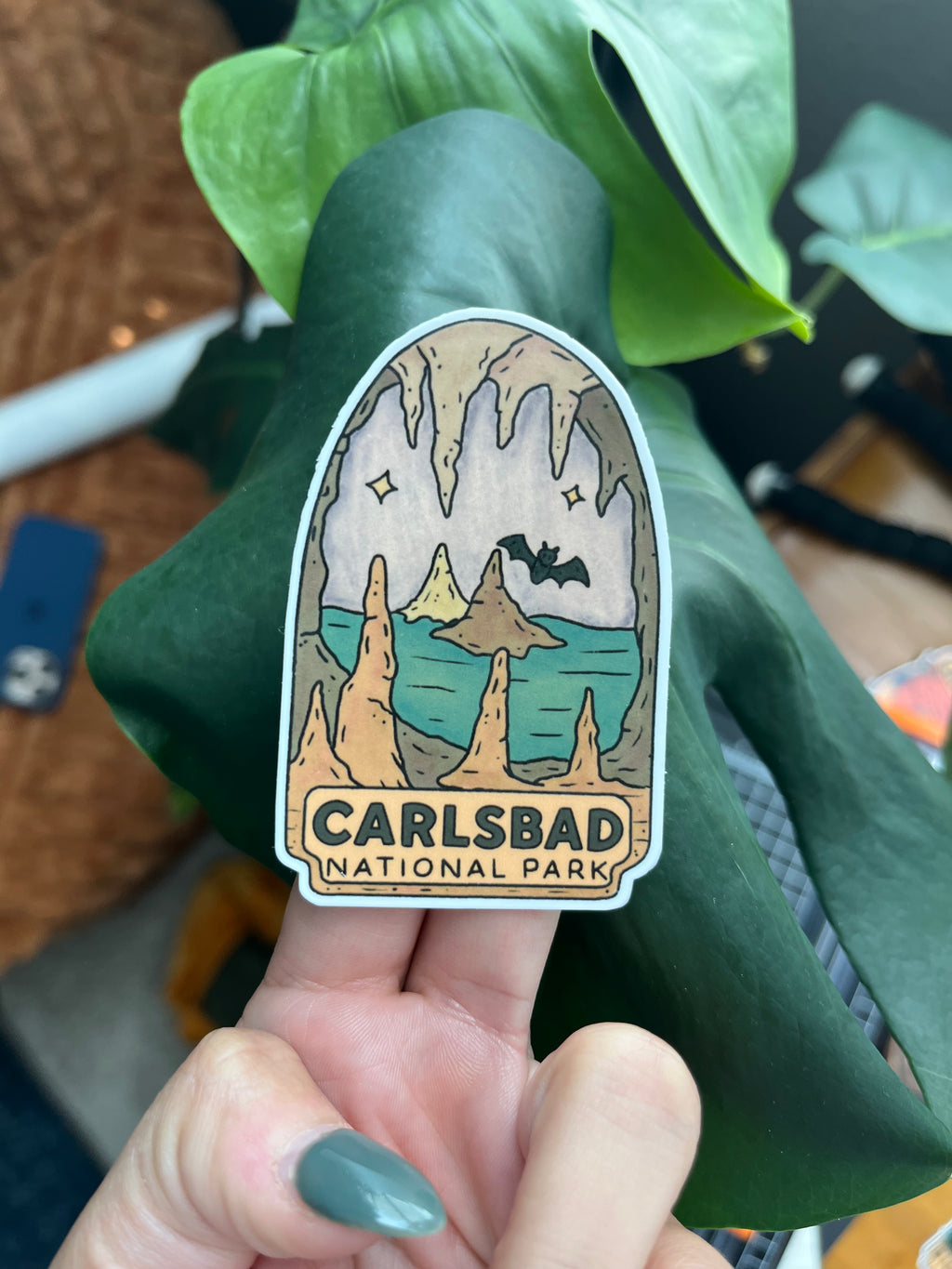 Carlsbad National Park
