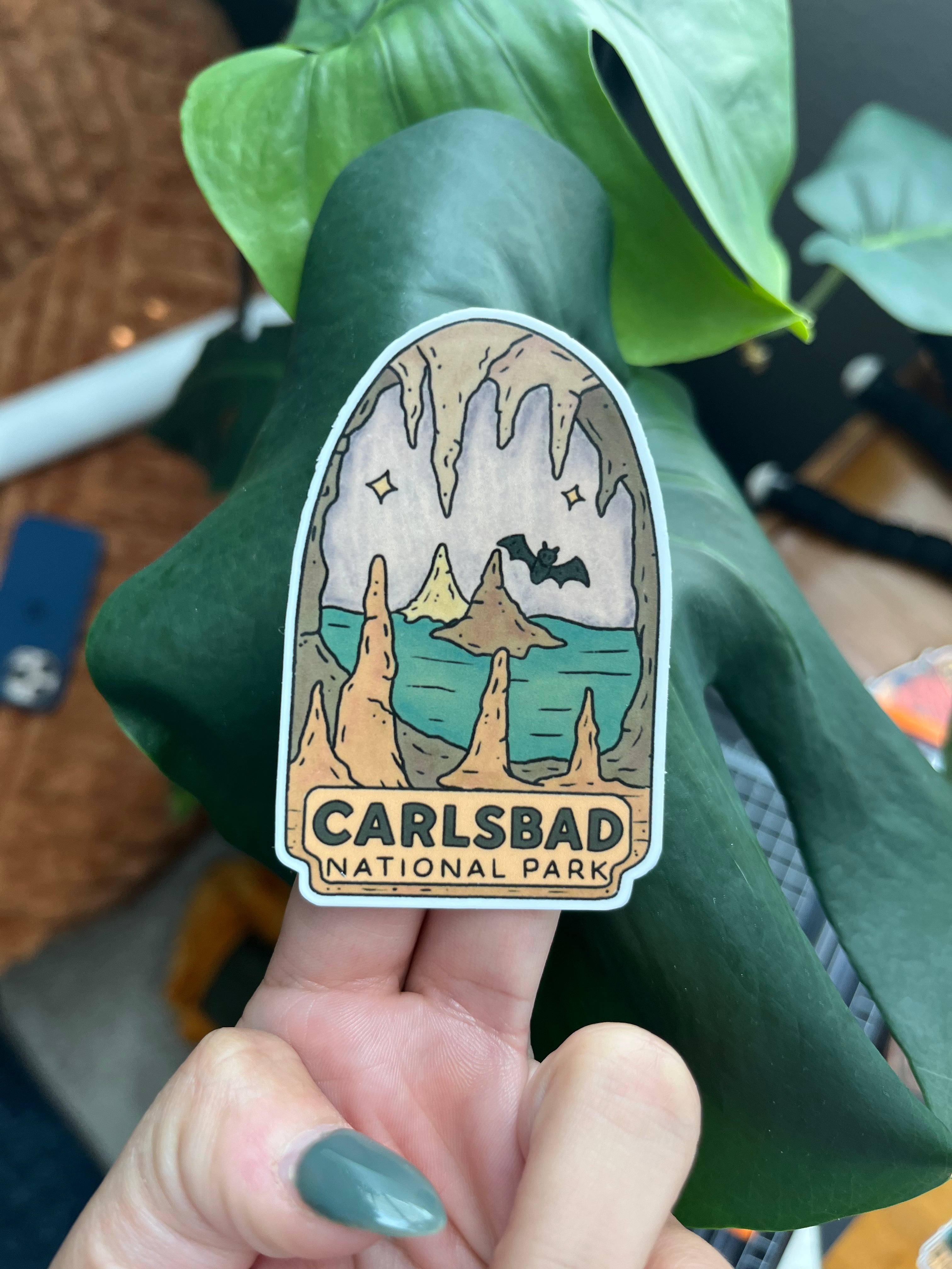 Carlsbad National Park